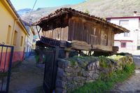 llanos-de-somerc3b3n-diciembre-2014-15