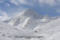 pe&ntilde;a ubi&ntilde;a nevada