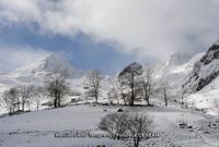 ultimas fayas peña ubiña nieve
